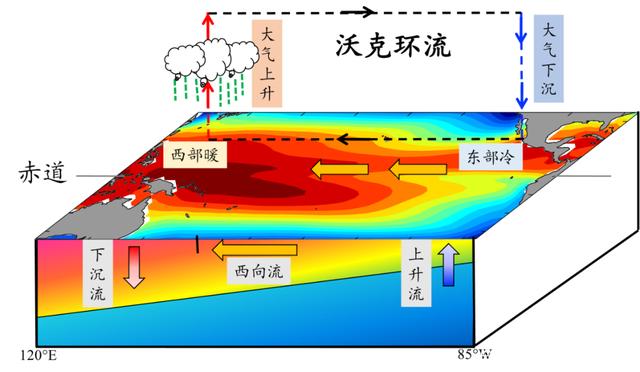 今年&ldquo;双拉尼娜年&rdquo;?何为拉尼娜?为什么它可以影响全球气候呢?